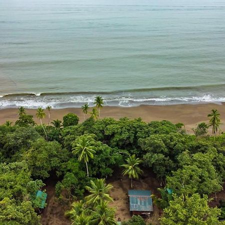 Playa Ganadito Ecolodge Drake Bay Exterior foto