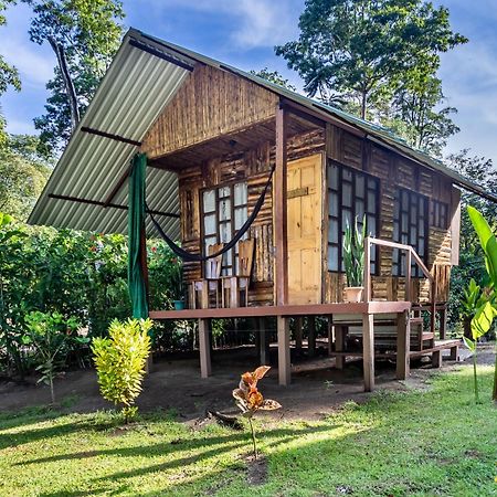 Playa Ganadito Ecolodge Drake Bay Exterior foto