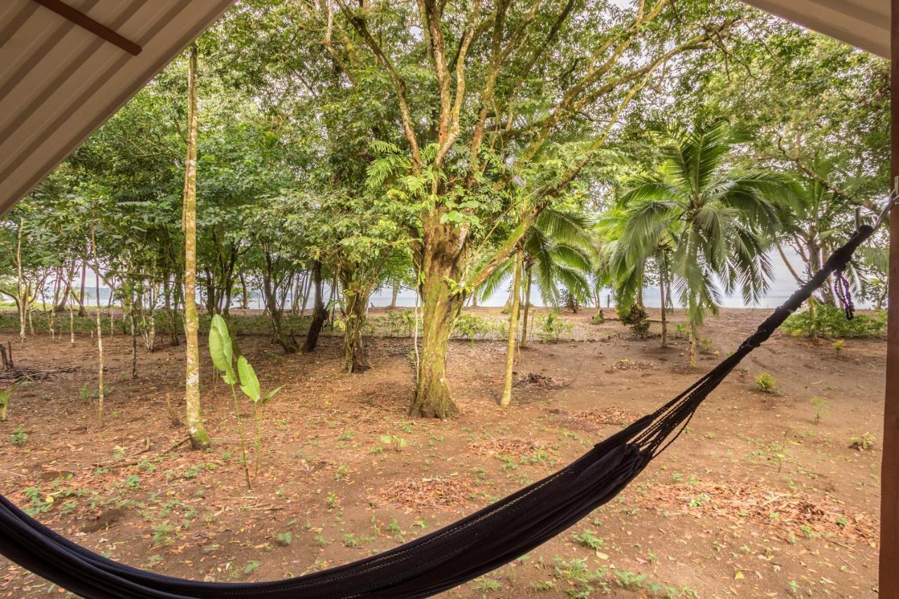 Playa Ganadito Ecolodge Drake Bay Exterior foto