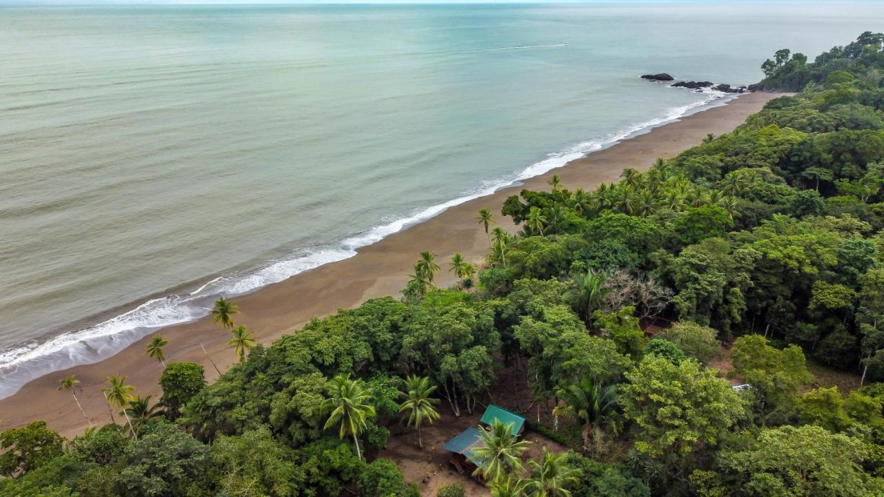 Playa Ganadito Ecolodge Drake Bay Exterior foto
