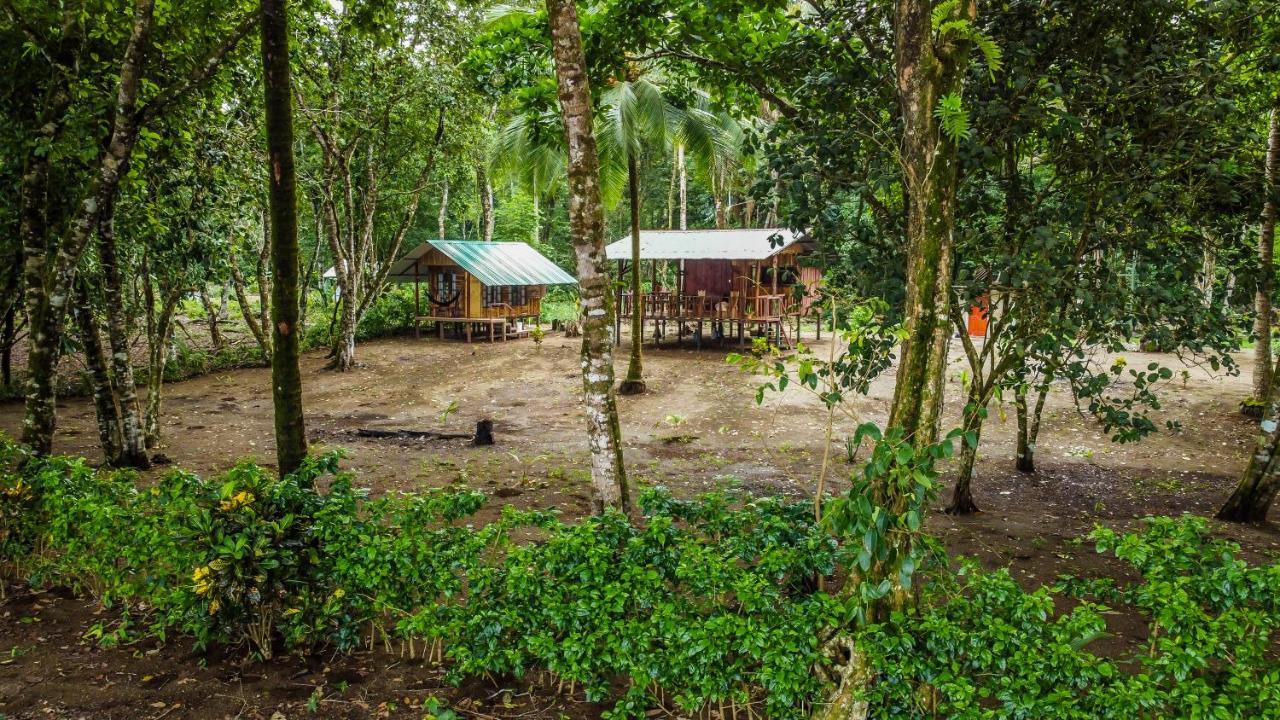 Playa Ganadito Ecolodge Drake Bay Exterior foto