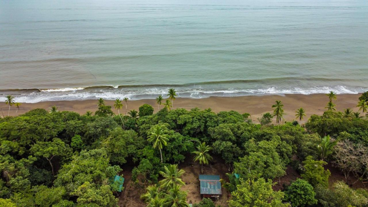 Playa Ganadito Ecolodge Drake Bay Exterior foto