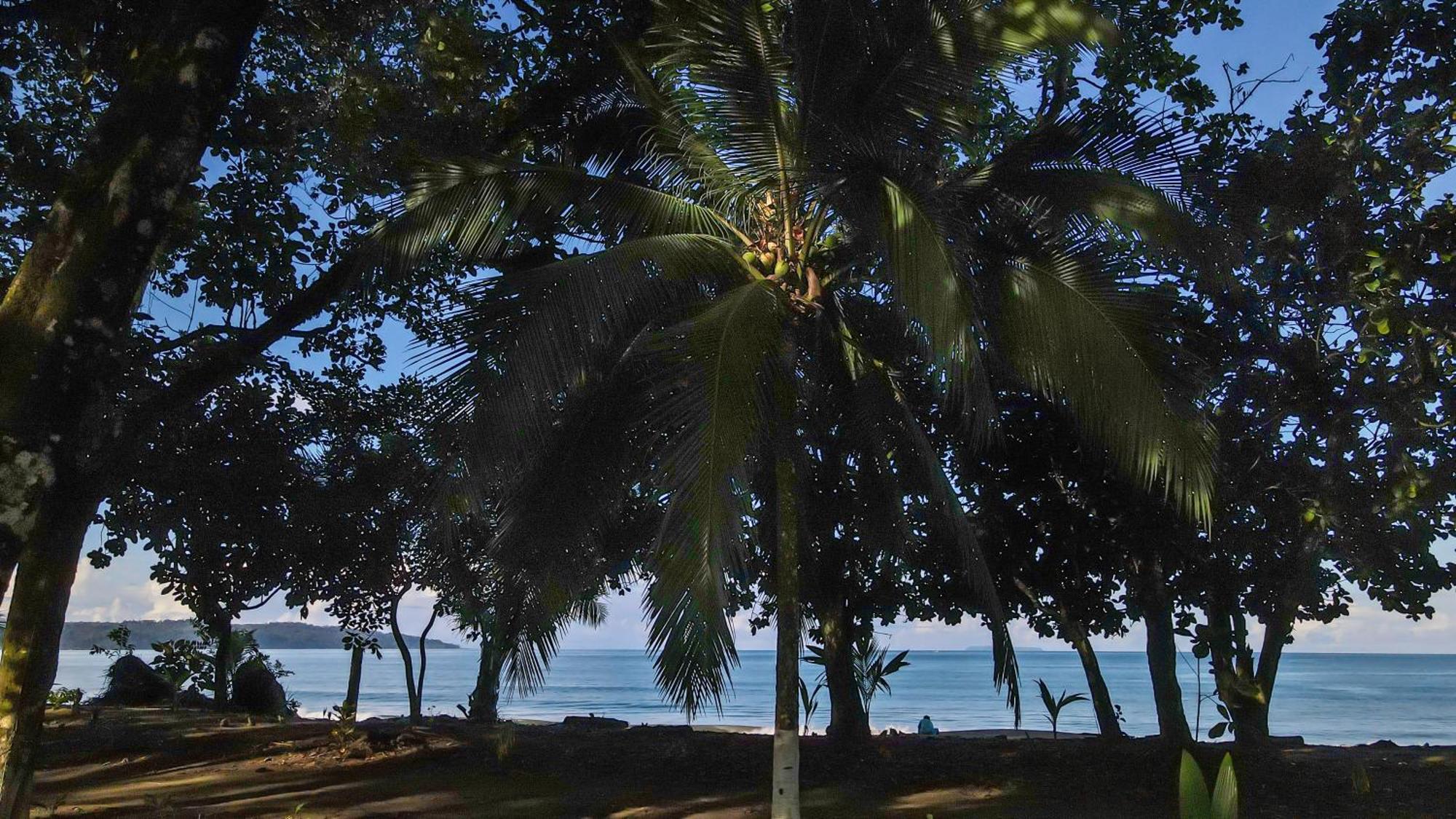 Playa Ganadito Ecolodge Drake Bay Exterior foto